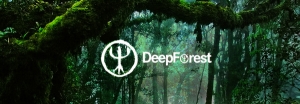 Концерт Deep Forest у Києві